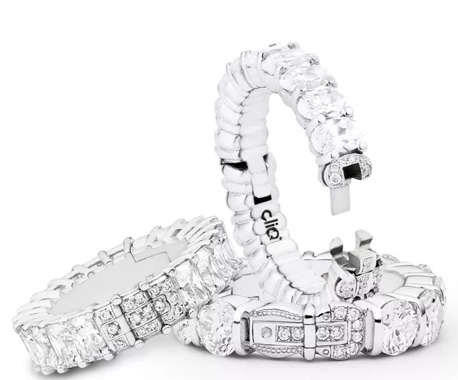 rings that show the cliq mechanism when open and shut.