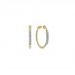 14K Yellow Gold 30mm Bujukan Diamond Classic Hoop Earrings